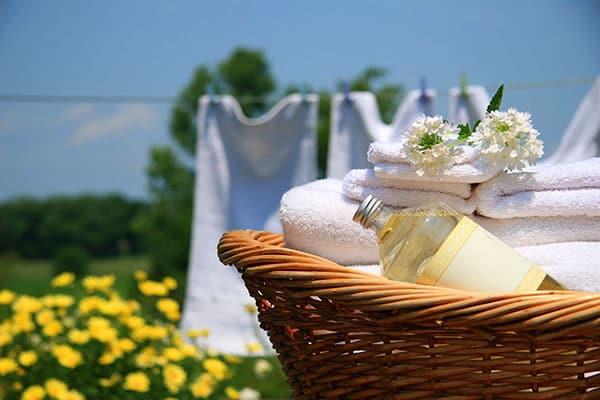 Fresh & Clean